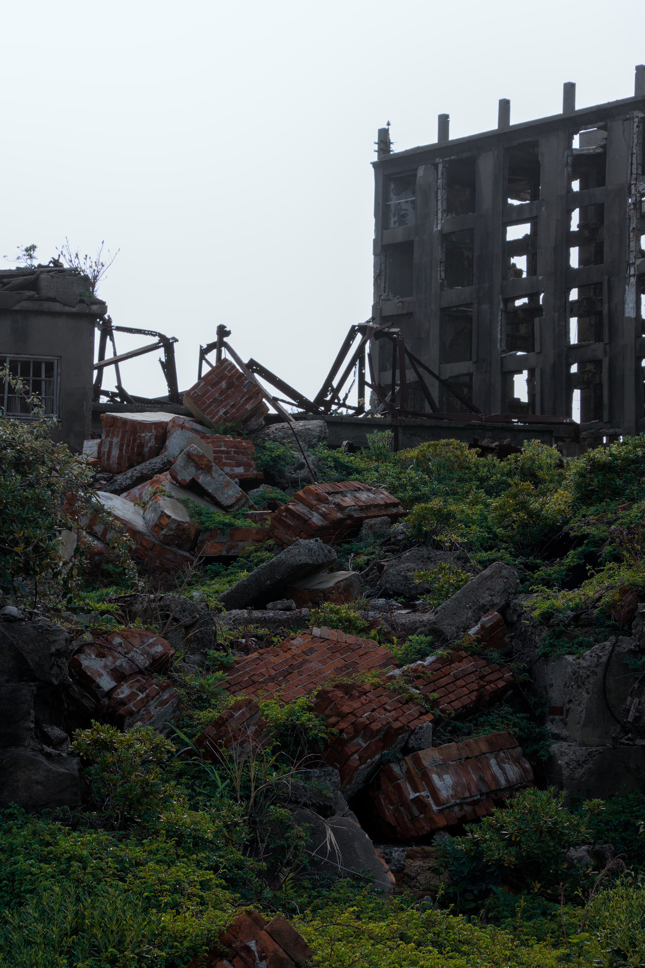 Rubble surrounded by lush growth of plants.